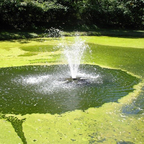 Planktonic algae algaecide and algae control from Aqua Doc