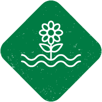 Watergarden maintenance services